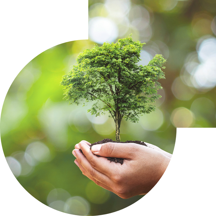 关怀人类、文化、环境与社会